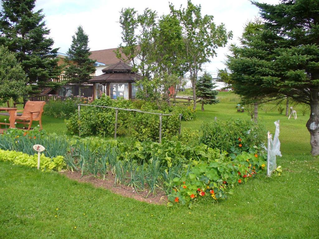 Gite Parfum de Mer Bed&Breakfast Bed & Breakfast Pabos Eksteriør bilde