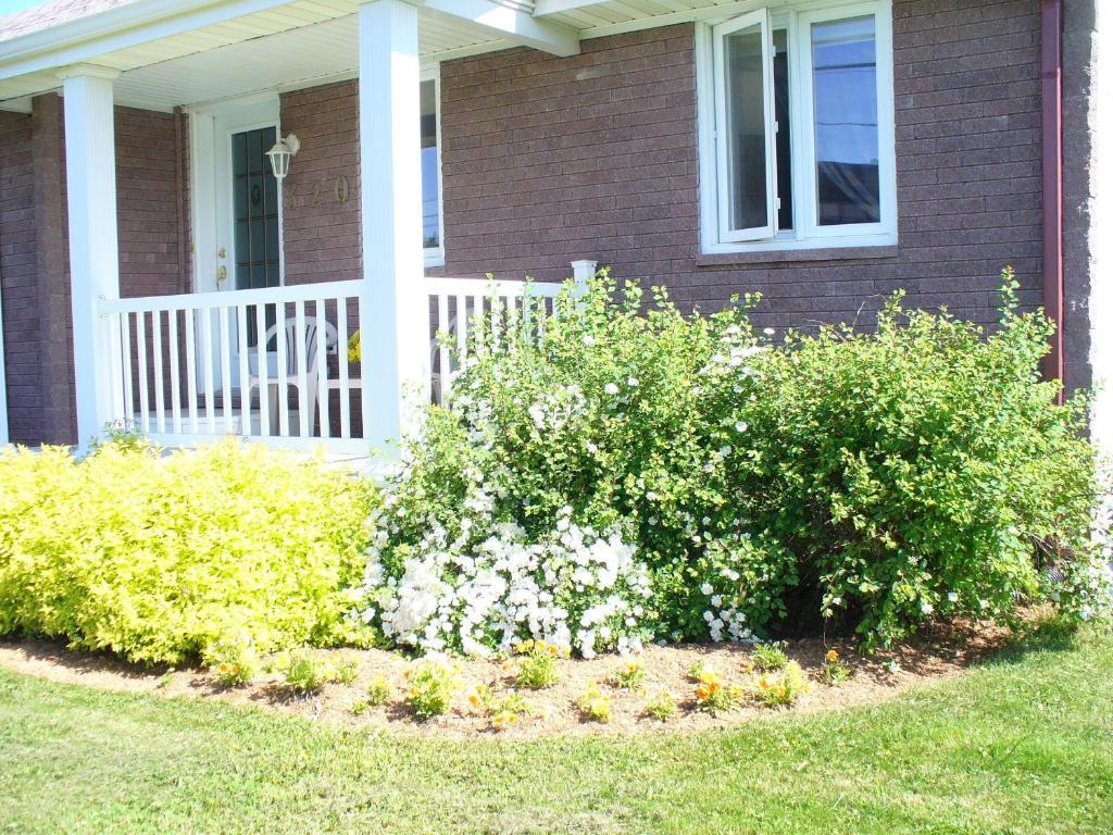 Gite Parfum de Mer Bed&Breakfast Bed & Breakfast Pabos Eksteriør bilde